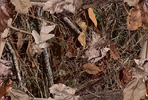 Un patrón de camuflaje woodland para fines de caza photo