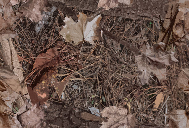 Realistic autumn forest pattern. Trunks of trees, leaves and grass camouflage pattern for military or hunters