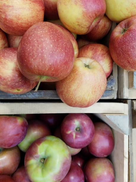 istock Apple varieties in wooden crates from directly above 1138711035