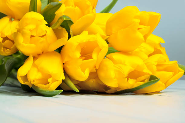 istock Tulips on a wooden table 1138711149