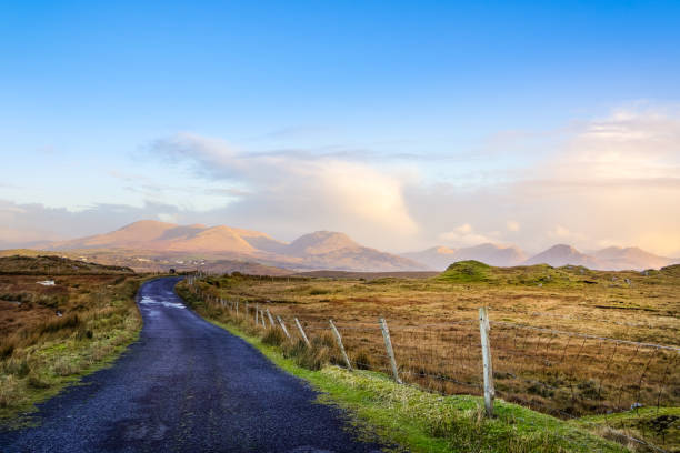 istock Empty road between meadows leading to mountains in far distance 1138712720