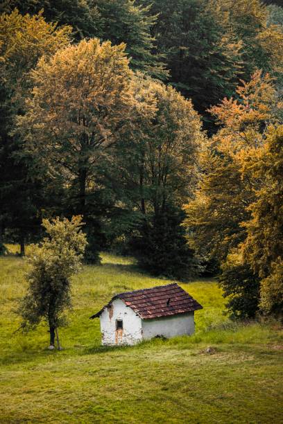 istock Abandoned house in field 1138714354