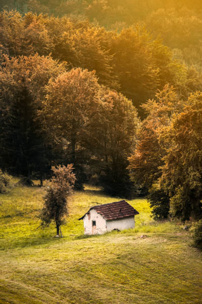 istock Abandoned house in field 1138714409