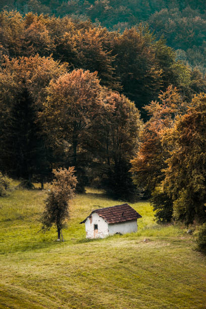 istock Abandoned house in field 1138714422