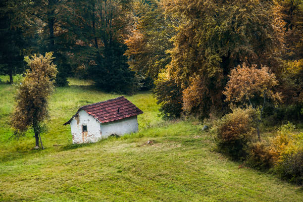istock Abandoned house in field 1138714478