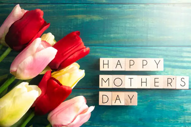 A Mothers Day Background with Multicolored Spring Tulips