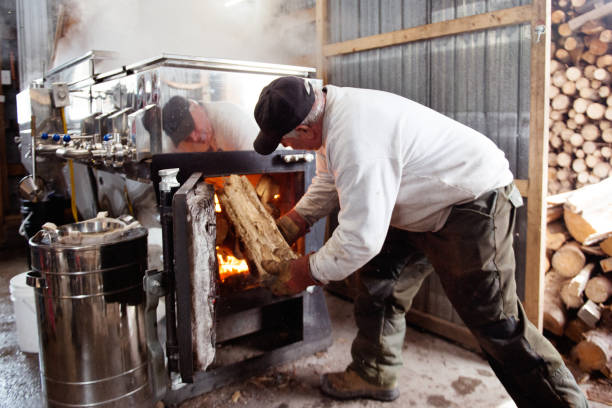 los hombres que aviestan el fuego en la choza de azúcar para la industria familiar de jarabe de arce - maple syrup sugar shack fotografías e imágenes de stock