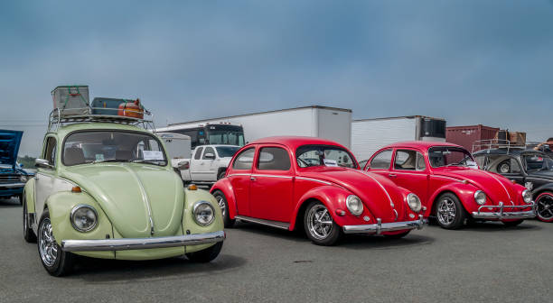 trio of classic volkswagen beetles - beetle imagens e fotografias de stock