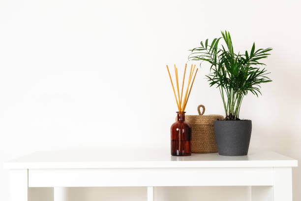 istock Scandinavian nordic hygge style, home interior - evergreen plant, scent aroma diffuser, small straw basket, white shelf 1138717191