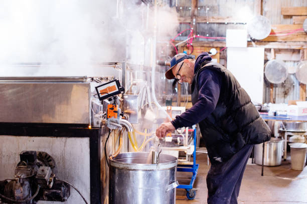 senior hombres trabajando en sugar shack para la industria de la familia jarabe de arce - maple syrup sugar shack fotografías e imágenes de stock