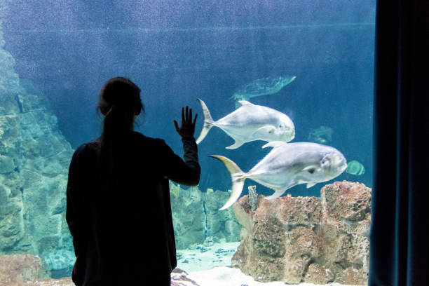 istock Woman looking at big fish in aquarium 1138718306