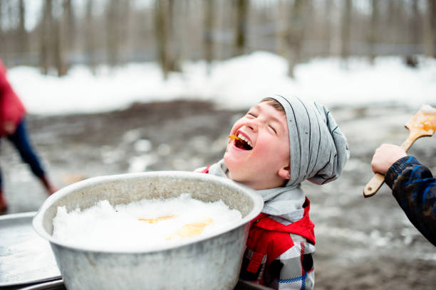 Photo showing children tasting maple syrup with wooden spoon for demonstration of the Local canadian industry of maple syrup in Quebec Canada. Photo was taken in Quebec Canada