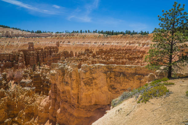 Bryce Canyon National Park stock photo