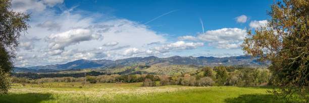 pano di una grande valle - vineyard sonoma county california panoramic foto e immagini stock