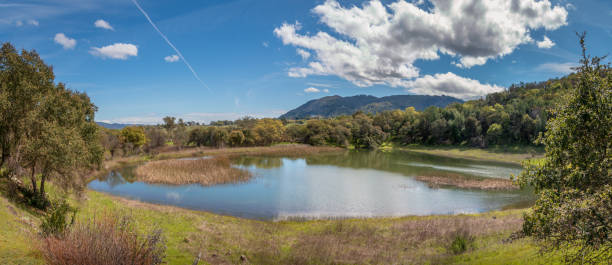istock Pano Pond in rural area 1138720681