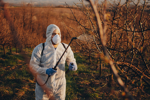 Gardening, Season, Serbia, Spray, Springtime