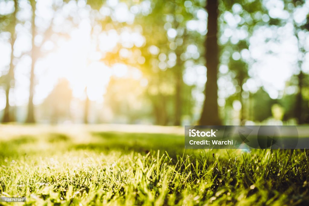 Spring sunsets in the park - Royalty-free Parque público Foto de stock