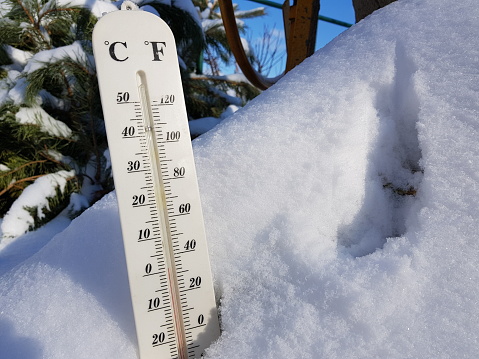 street thermometer with a temperature of Celsius and Fahrenheit in the snow next to a young pine in winter or spring