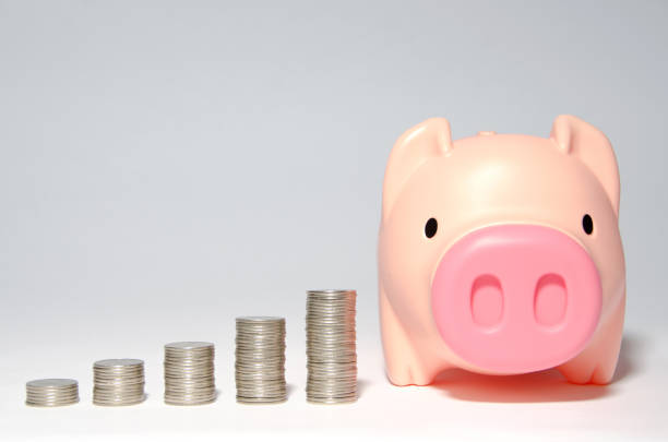 istock Pig banks and coins 1138752795