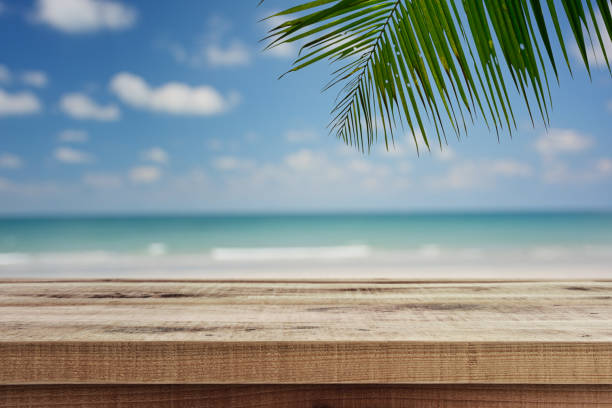istock Beach background with palm tree and empty wooden, Summer. 1138752848