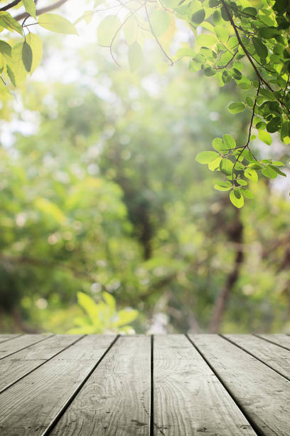 istock Empty wooden and blurred green nature garden background. 1138752950