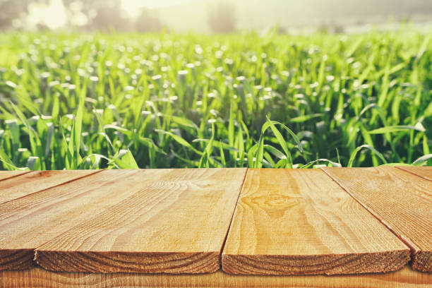 istock Empty rustic table in front of countryside background. product display and picnic concept 1138762972