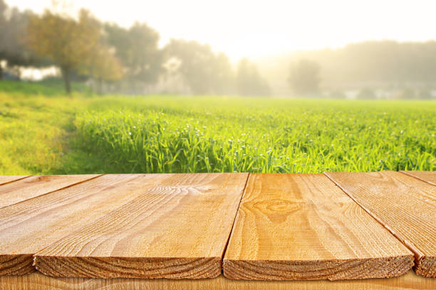 istock Empty rustic table in front of countryside background. product display and picnic concept 1138762976