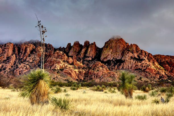 Dragoon Mountains in Southern Arizona The Dragoon Mountains are a range of mountains located in Cochise County, Arizona. dragoon mountains photos stock pictures, royalty-free photos & images