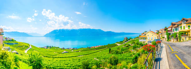 lavaux wine region near lausanne, switzerland - geneva canton imagens e fotografias de stock