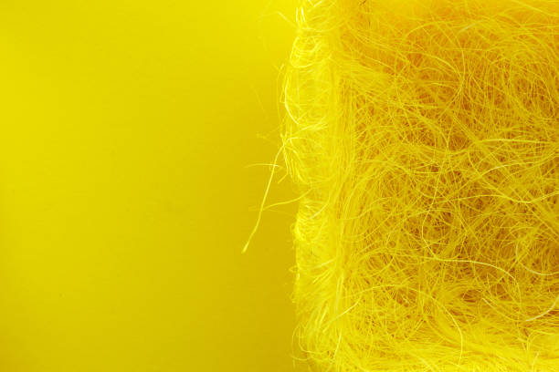 istock bird nest on yellow background, Easter holiday decorations , Easter concept background. Eggs hunt. 1138765841