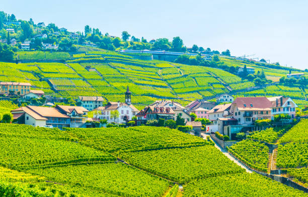 lavaux wine region near lausanne, switzerland - geneva canton imagens e fotografias de stock