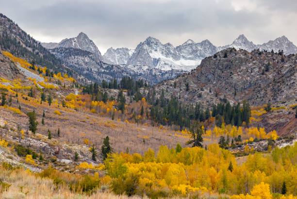 istock Mountain Landscape - National Park 1138769814