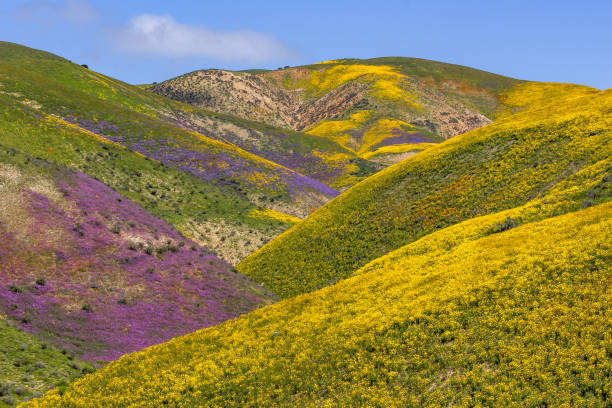 istock Mountain Landscape - National Park 1138769991