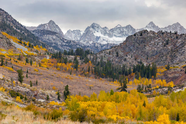 istock Mountain Landscape - National Park 1138770165