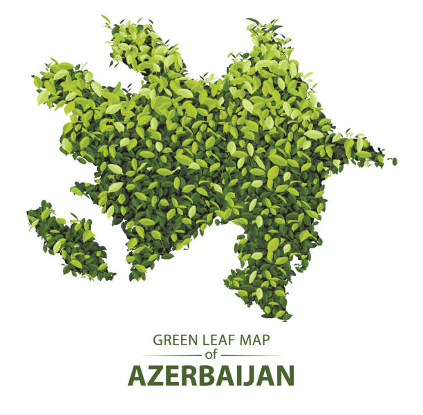 istock Green leaf map of azerbaijan vector illustration of a forest is concept 1138771202