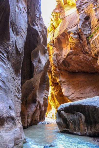 istock National Park - USA Landscape 1138774246