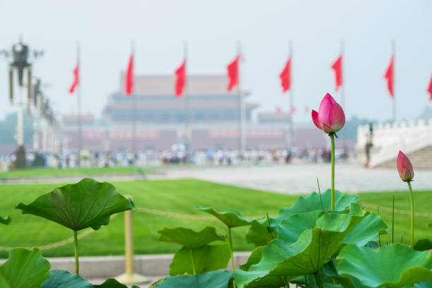 istock Lotus on Tiananmen background 1138778540
