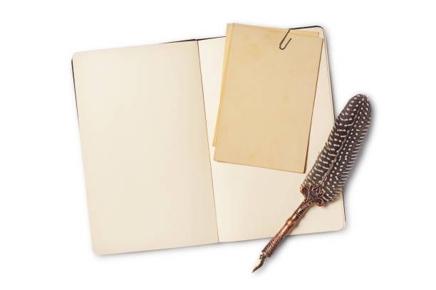 istock Vintage composition with notebook and luxury quill pen 1138779455