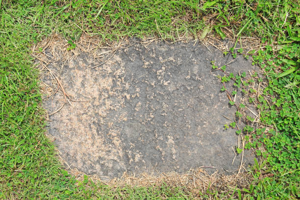 istock Stone texture background covered with green grass around. Concrete pattern with copy space at center. 1138780358