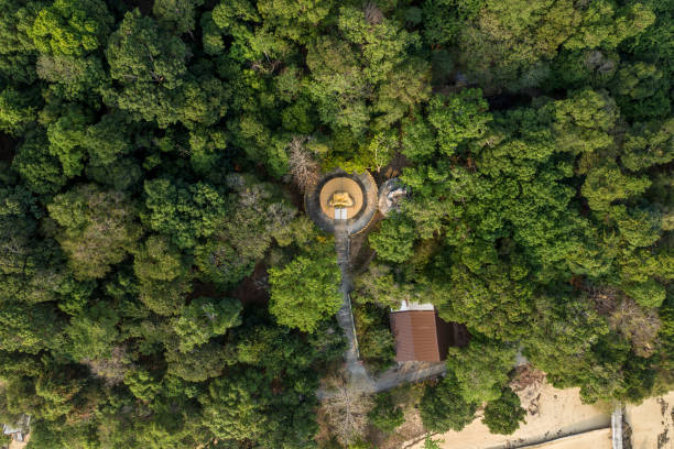 istock golden Buddha inside forest at Phayam temple. 1138780579