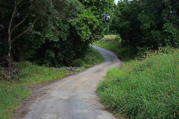 istock Slightly curved rural road with a weir crossing a creek 1138782719