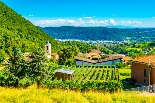 ぶどう畑を通して見たスイスの星の町 - switzerland european alps ticino canton scenics ストックフォトと画像