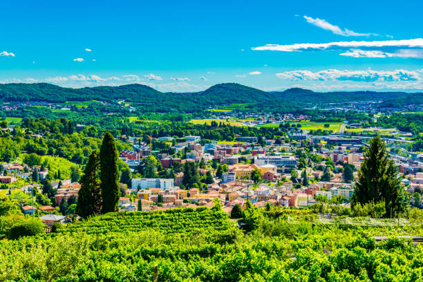 mendrisio town in switzerland viewed through vineyards - switzerland ticino canton lake lugano imagens e fotografias de stock