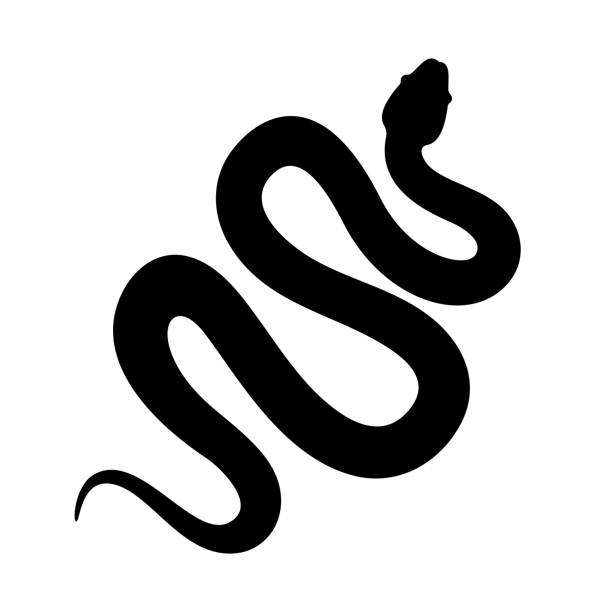 ilustraciones, imágenes clip art, dibujos animados e iconos de stock de icono de vector de silueta de serpiente cobra o anaconda. larga serpiente arrastrándose - herpetología