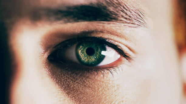 istock You see nature in his eyes 1138789417