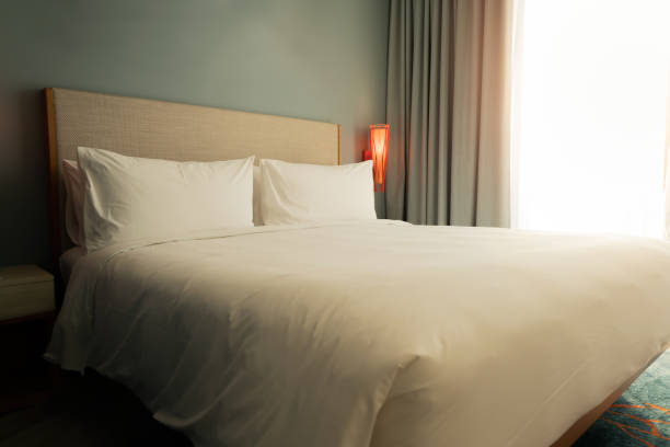 istock Bedroom interiors concept.  Modern bedroom style at home. 1138791661