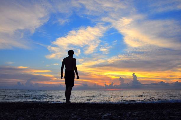 istock Silhouette Man Standing At Beach Against Dramatic Sky During Sunset 1138798746