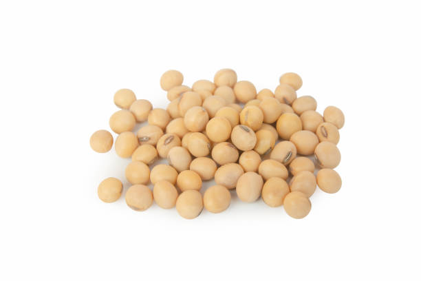 istock Soybeans isolated on white background with clipping path. 1138799029