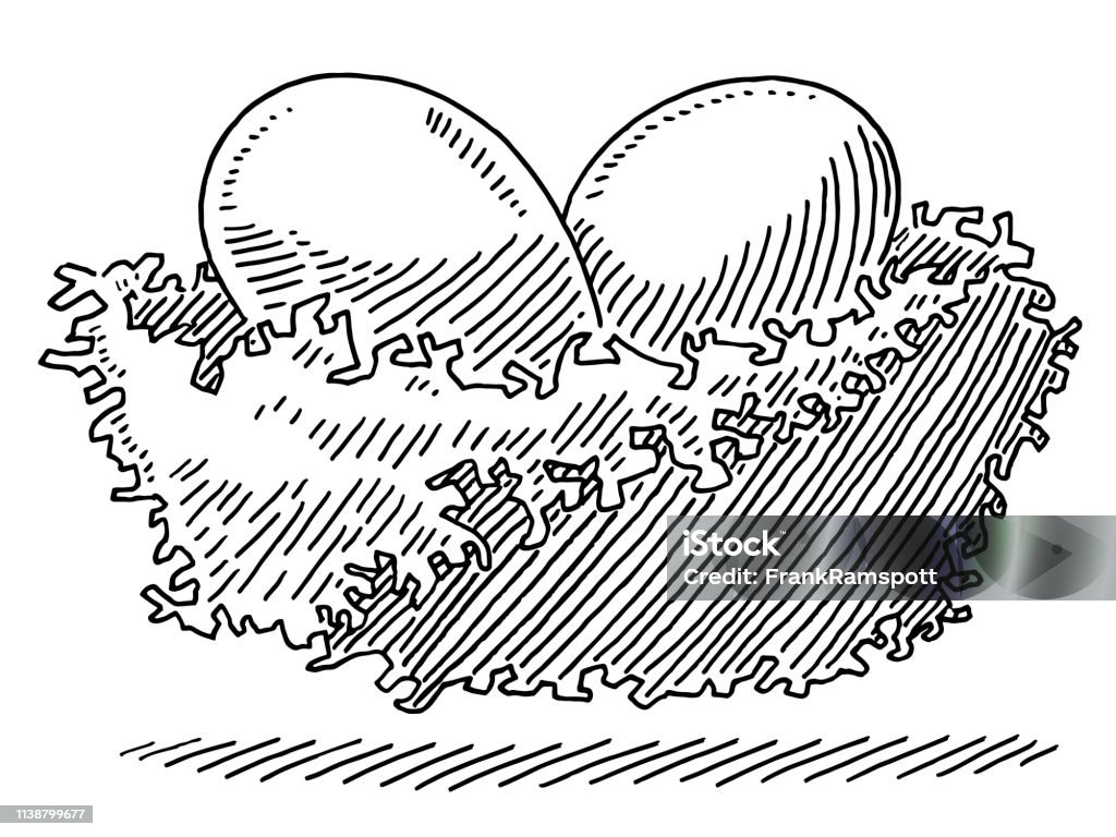 Bird Nest Two Eggs Drawing Hand-drawn vector drawing of a Bird’s Nest with Two Eggs. Black-and-White sketch on a transparent background (.eps-file). Included files are EPS (v10) and Hi-Res JPG. Egg - Food stock vector