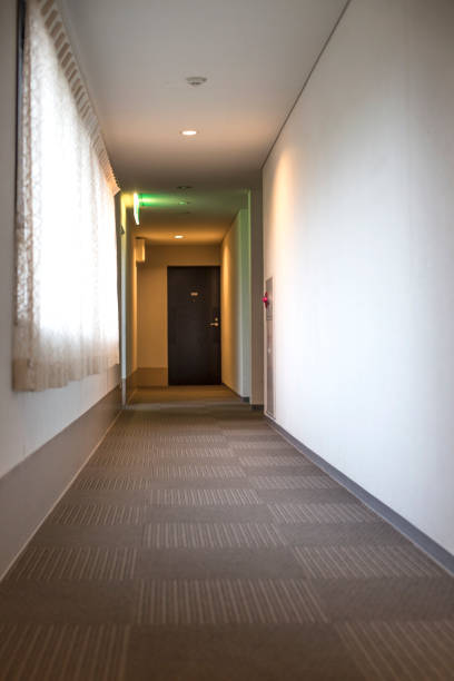 istock Interior of hotel corridor 1138808762